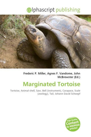 Marginated Tortoise