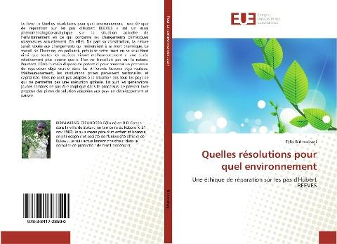 Quelles résolutions pour quel environnement