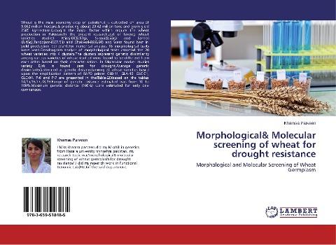 Morphological& Molecular screening of wheat for drought resistance