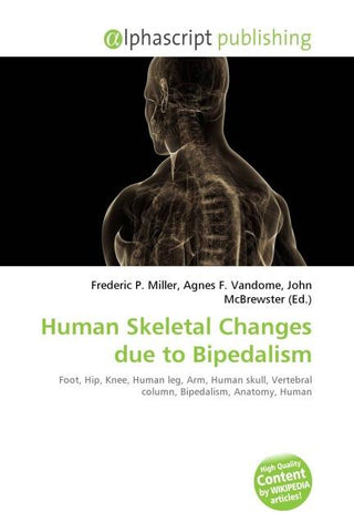 Human Skeletal Changes due to Bipedalism