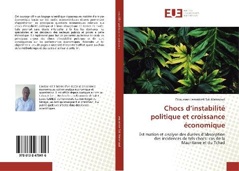 Chocs d'instabilité politique et croissance économique
