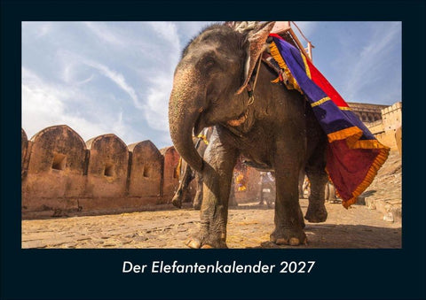 Der Elefantenkalender 2027 Fotokalender DIN A4