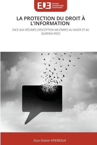 LA PROTECTION DU DROIT À L'INFORMATION