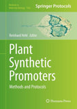 Plant Synthetic Promoters