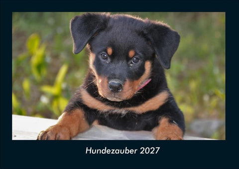 Hundezauber 2027 Fotokalender DIN A4
