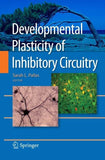 Developmental Plasticity of Inhibitory Circuitry