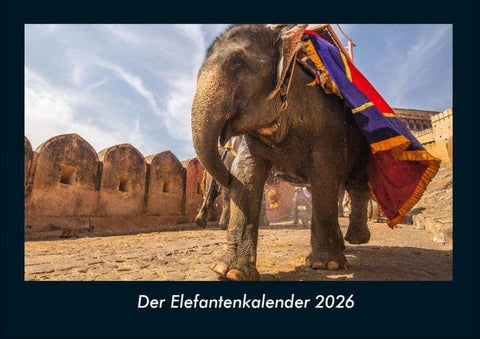 Der Elefantenkalender 2026 Fotokalender DIN A4