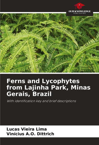 Ferns and Lycophytes from Lajinha Park, Minas Gerais, Brazil