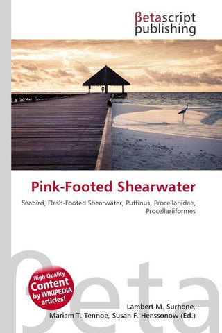 Pink-Footed Shearwater