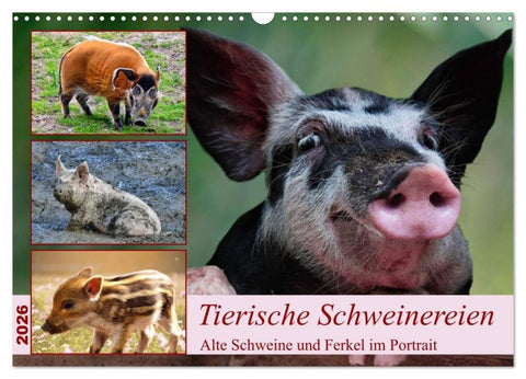 Tierische Schweinereien (Wandkalender 2026 DIN A3 quer), CALVENDO Monatskalender