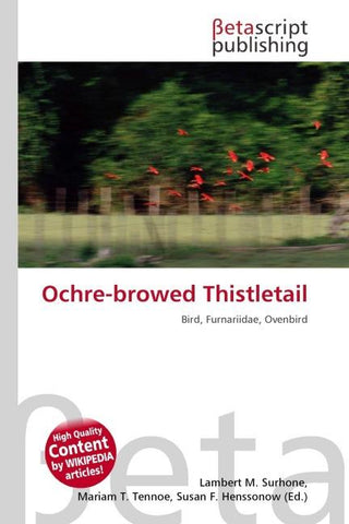 Ochre-browed Thistletail