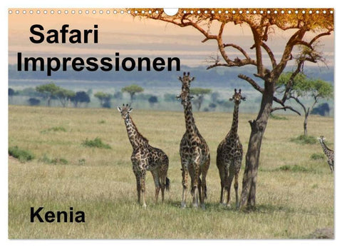 Safari Impressionen / Kenia (Wandkalender 2026 DIN A3 quer), CALVENDO Monatskalender