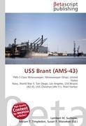 USS Brant (AMS-43)