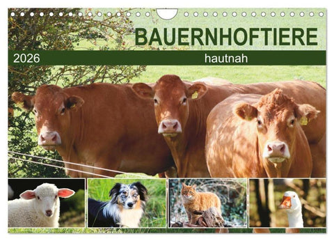 Bauernhoftiere hautnah (Wandkalender 2026 DIN A4 quer), CALVENDO Monatskalender