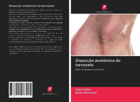 Dissecção anatómica do tornozelo