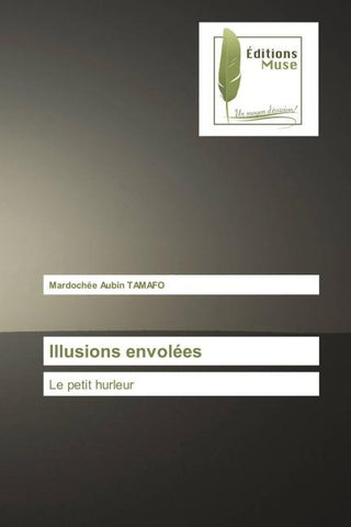 Illusions envolées