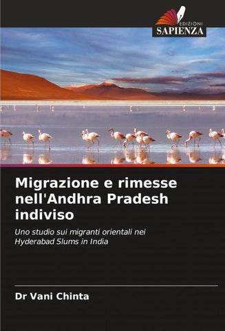 Migrazione e rimesse nell'Andhra Pradesh indiviso