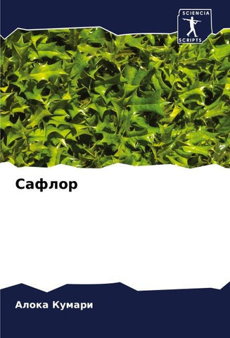Saflor