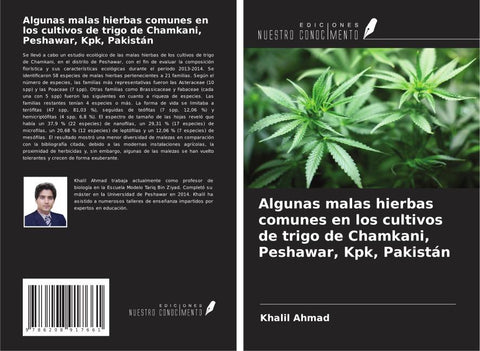 Algunas malas hierbas comunes en los cultivos de trigo de Chamkani, Peshawar, Kpk, Pakistán