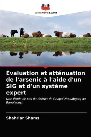 Évaluation et atténuation de l'arsenic à l'aide d'un SIG et d'un système expert