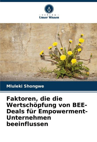 Faktoren, die die Wertschöpfung von BEE-Deals für Empowerment-Unternehmen beeinflussen