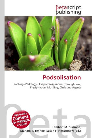 Podsolisation