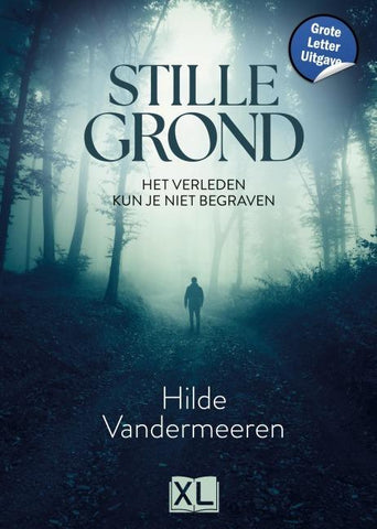 Stille grond