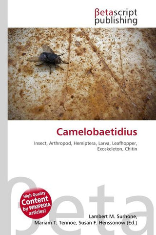 Camelobaetidius