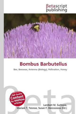 Bombus Barbutellus