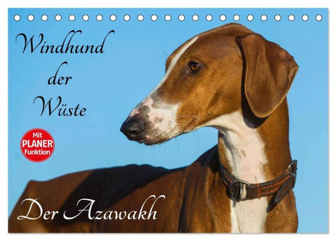 Windhund der Wüste - Der Azawakh (Tischkalender 2026 DIN A5 quer), CALVENDO Monatskalender