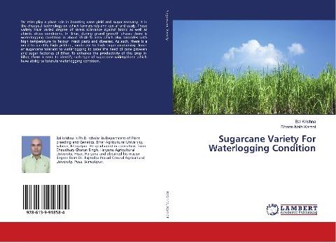 Sugarcane Variety For Waterlogging Condition