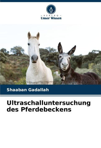 Ultraschalluntersuchung des Pferdebeckens
