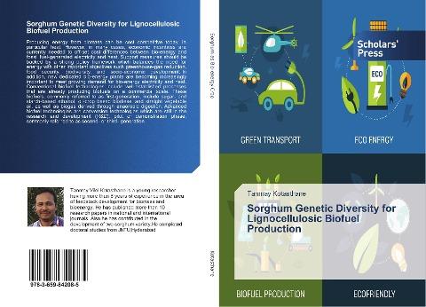 Sorghum Genetic Diversity for Lignocellulosic Biofuel Production
