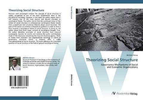 Theorizing Social Structure