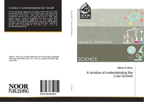 A window of understanding the Liver Growth