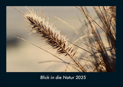 Blick in die Natur 2025 Fotokalender DIN A4