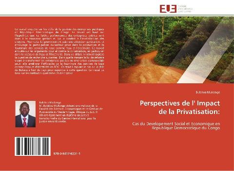 Perspectives de l' Impact de la Privatisation: