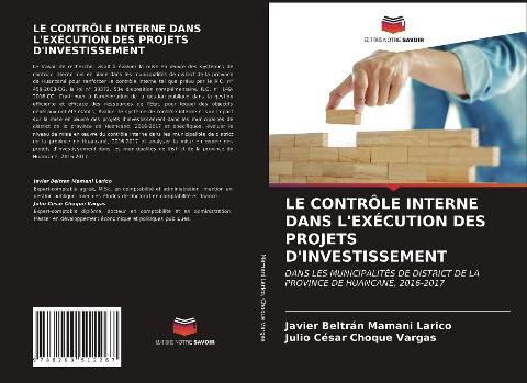 LE CONTRÔLE INTERNE DANS L'EXÉCUTION DES PROJETS D'INVESTISSEMENT