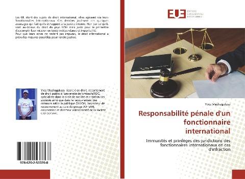 Responsabilité pénale d'un fonctionnaire international