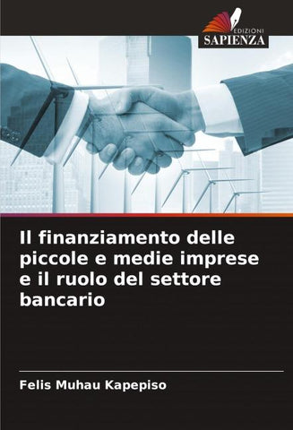 Il finanziamento delle piccole e medie imprese e il ruolo del settore bancario
