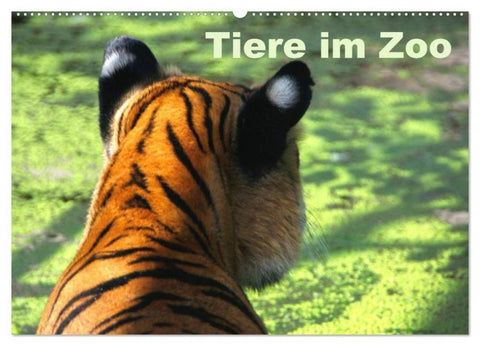 Tiere im Zoo (Wandkalender 2026 DIN A2 quer), CALVENDO Monatskalender