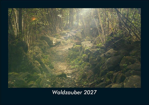 Waldzauber 2027 Fotokalender DIN A5