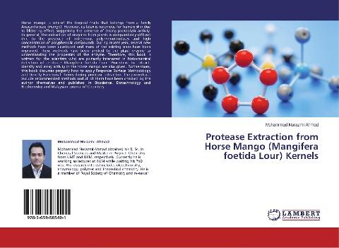 Protease Extraction from Horse Mango (Mangifera foetida Lour) Kernels