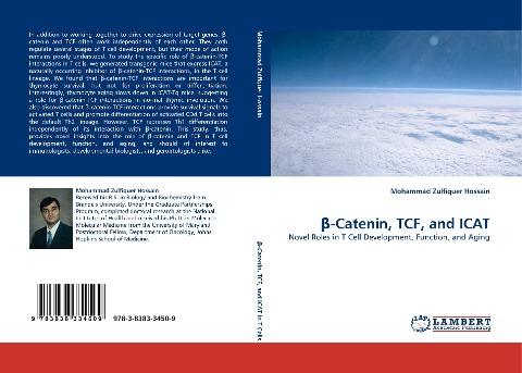 ¿-Catenin, TCF, and ICAT