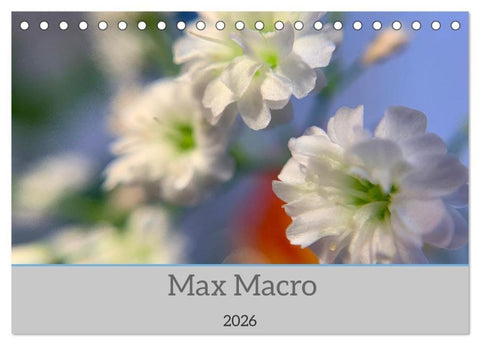 Max Macro (Tischkalender 2026 DIN A5 quer), CALVENDO Monatskalender