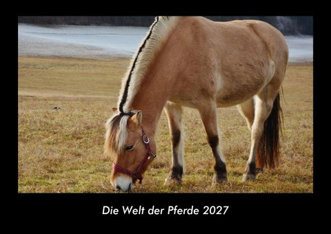 Die Welt der Pferde 2027 Fotokalender DIN A3