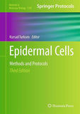 Epidermal Cells