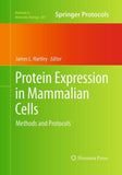 Protein Expression in Mammalian Cells