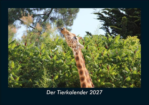 Der Tierkalender 2027 Fotokalender DIN A5