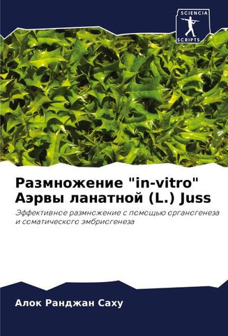 Razmnozhenie "in-vitro" Aärwy lanatnoj (L.) Juss